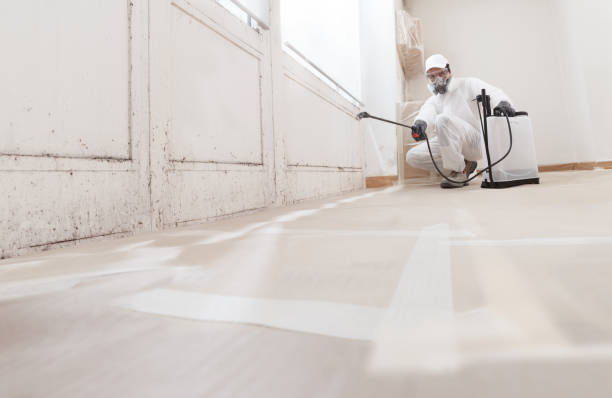 24/7 Emergency Mold Remediation experts in Woodbridge, VA